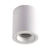 Surface Mounted White Ceiling Light