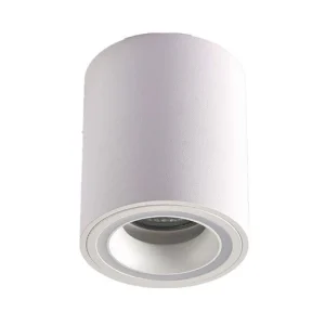 Surface Mounted White Ceiling Light