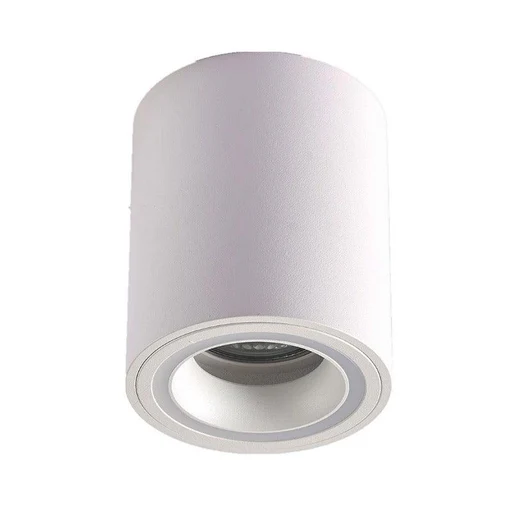Surface Mounted White Ceiling Light