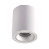 Surface Mounted White Ceiling Light
