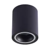 Surface Mounted Black Ceiling Light