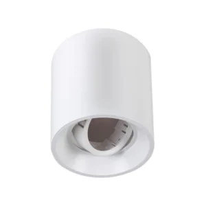 Round Surface White LED Ceiling Light