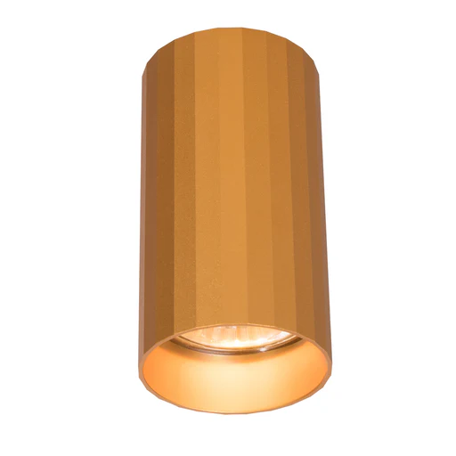 Surface Mounted Ceiling Downlight