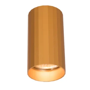 Surface Mounted Ceiling Downlight