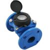 Water Meter-DN50-GMDM