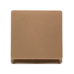 Gold 1-Gang 2-Way Switch