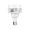 Bulb LED 100W E40(Big Screw) With Cover