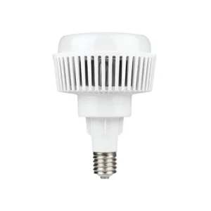 Bulb LED 100W E40(Big Screw) With Cover