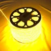 Series Light 5 Meters Warm White