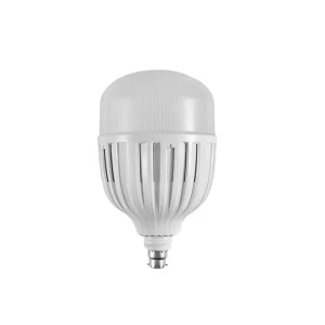 LED Daylight Bulb 100W B22 Pin type