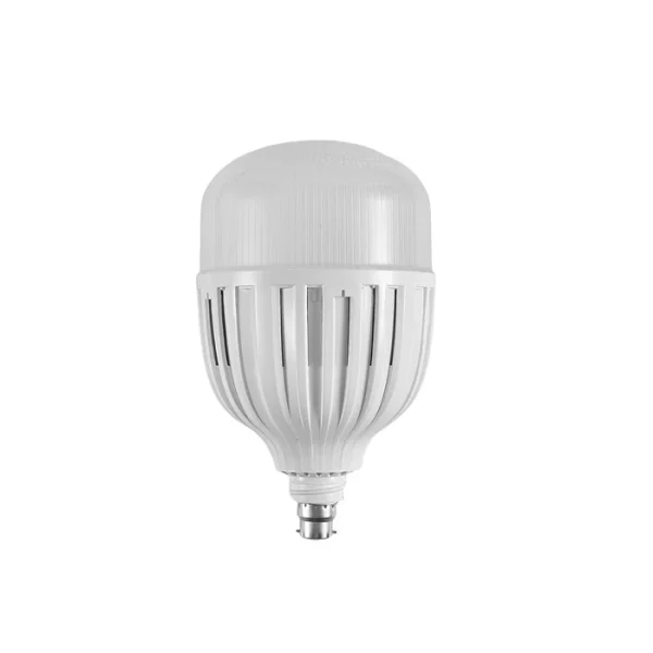 LED Daylight Bulb 100W B22 Pin type