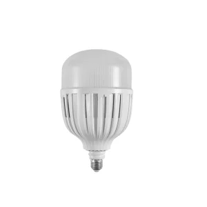 LED Daylight Bulb 100W screw