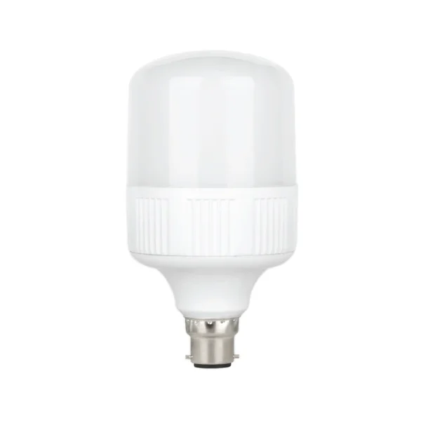 LED Bulb 30W B22 Warmwhite