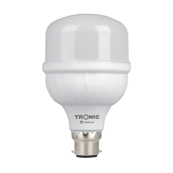 Bulb LED 20 Watts Warm White B22 (Pin)