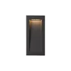 Black LED Wall Light