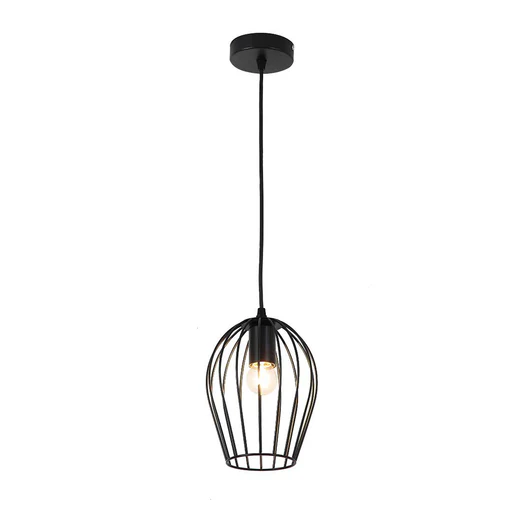 Cage Dome Pendant Light