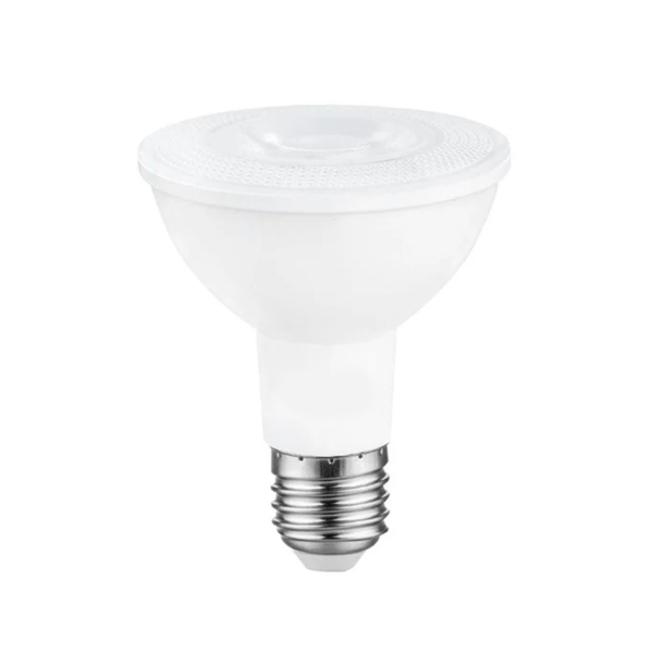PAR30 12W LED Bulb
